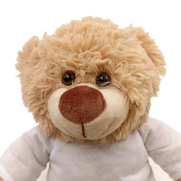 Oso de peluche 25 cm