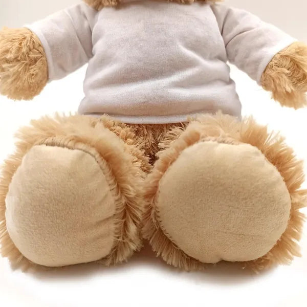 Oso de peluche 25 cm